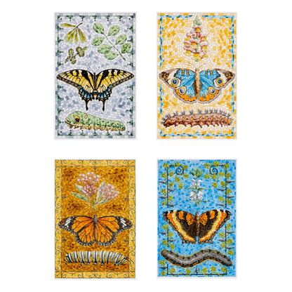 David Cohen Butterflies Boxed Notecard Set