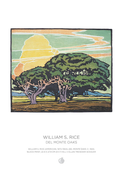 William S. Rice - Two-Sided Puzzle - 120 Pieces
