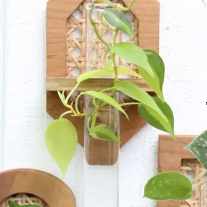 Dunn Rustic Propagation Planter - Rattan