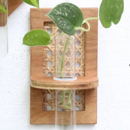 Dunn Rustic Propagation Planter - Rattan