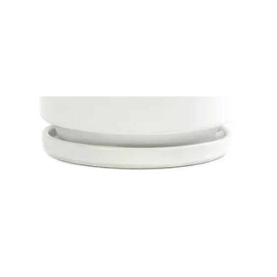 Momma Pots Saucer - White