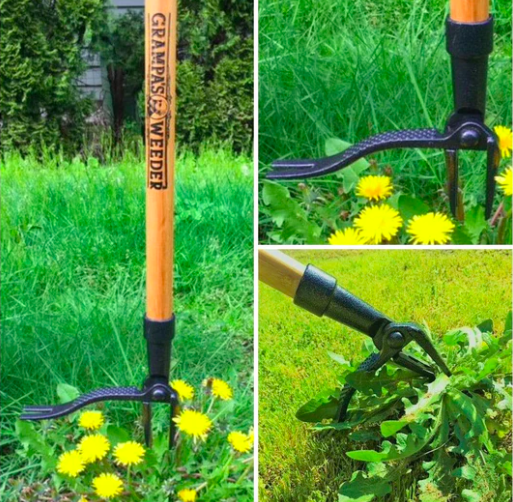 Grampa's Weeder