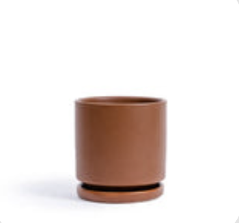 Cylinder Pot w Saucer - Chocolate