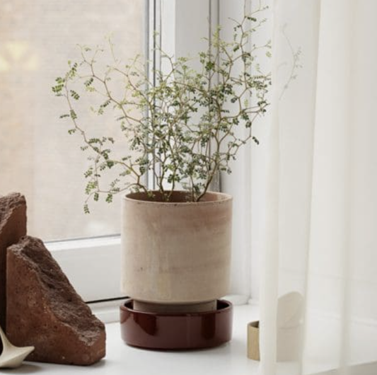 Bergs Potter - Pot - Hoff Unglazed - Rosa
