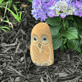 Statue - Boulder Owls