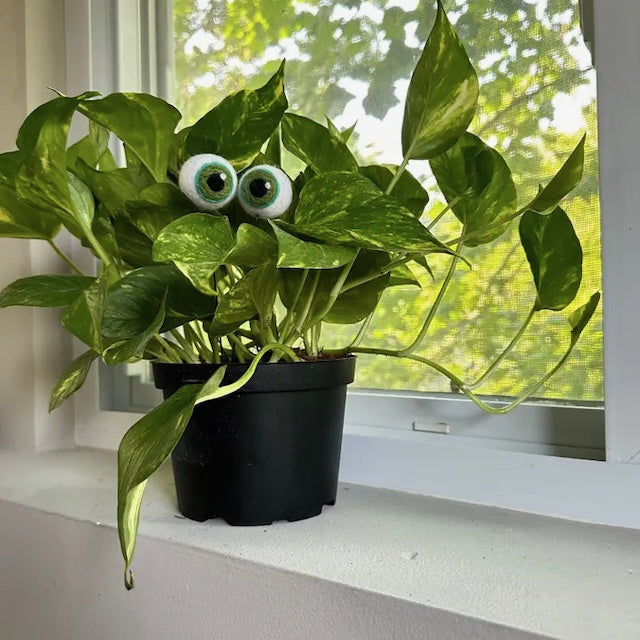Felted Wool Eyeball Plant Stakes