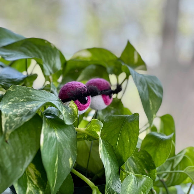 Felted Wool Eyeball Plant Stakes