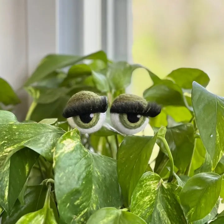 Felted Wool Eyeball Plant Stakes