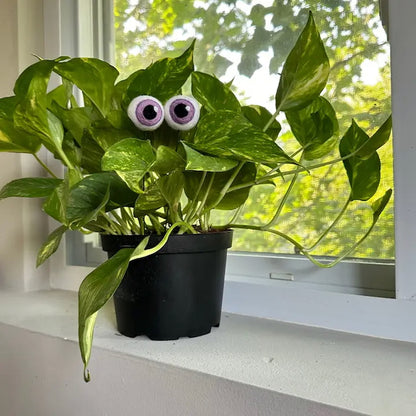 Felted Wool Eyeball Plant Stakes