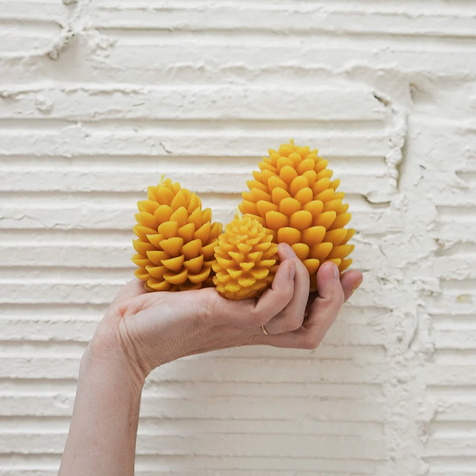 Slow Burn Beeswax Candles - Seasonal - Pinecone