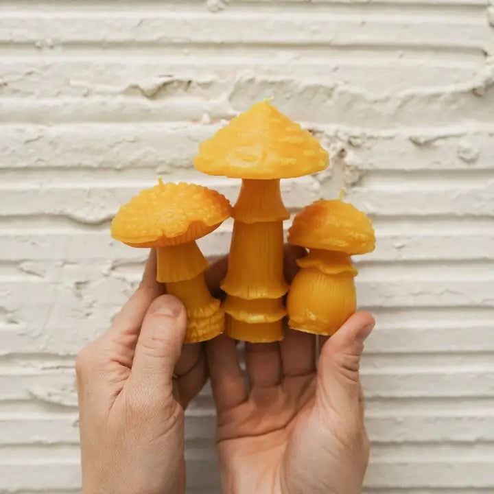 Slow Burn Beeswax Candles - Amanita Mushrooms