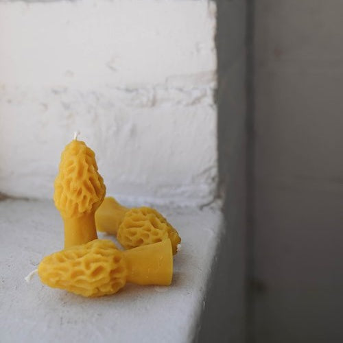 Slow Burn Beeswax Candles - Morel