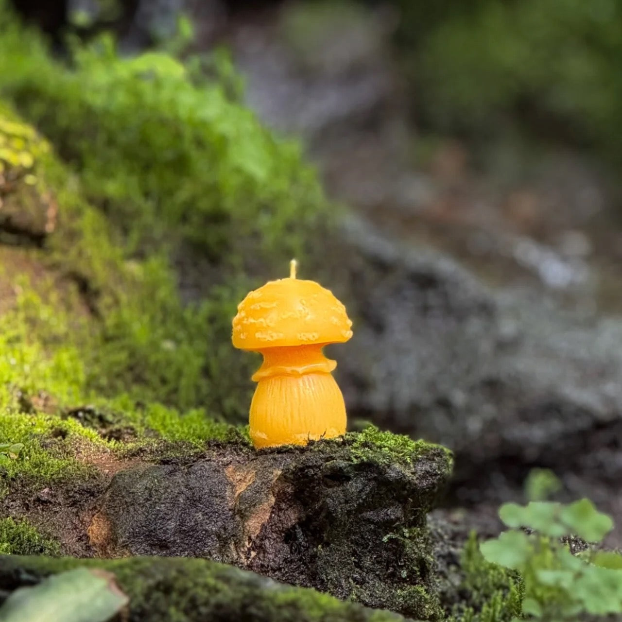 Slow Burn Beeswax Candles - Amanita Mushrooms
