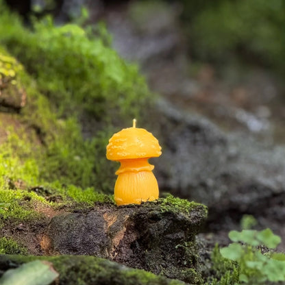 Slow Burn Beeswax Candles - Amanita Mushrooms