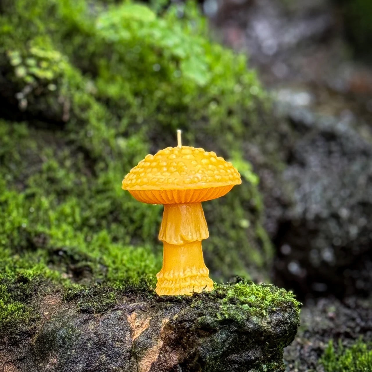 Slow Burn Beeswax Candles - Amanita Mushrooms