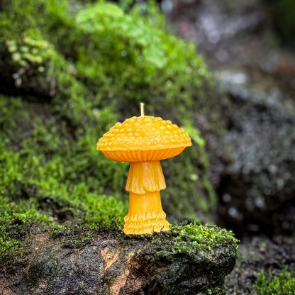 Slow Burn Beeswax Candles - Amanita Mushrooms