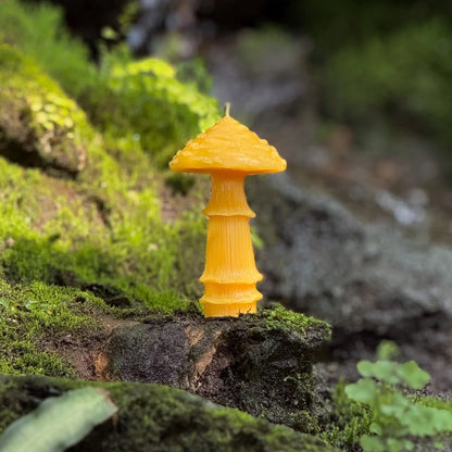 Slow Burn Beeswax Candles - Amanita Mushrooms