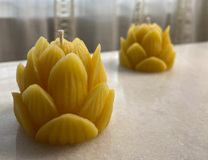 Slow Burn Beeswax Candles
