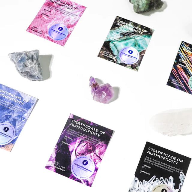 Stemcell Science Shop - Surprise Blind Bags