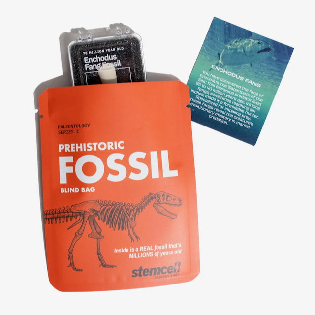 Stemcell Science Shop - Surprise Blind Bags