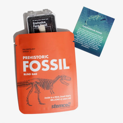 Stemcell Science Shop - Surprise Blind Bags