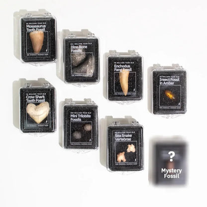 Stemcell Science Shop - Surprise Blind Bags