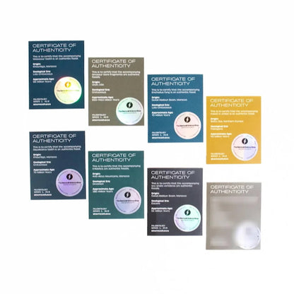 Stemcell Science Shop - Surprise Blind Bags