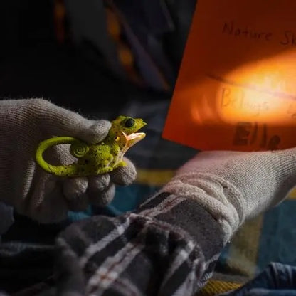 Wildlight Animal Carabiner Flashlight