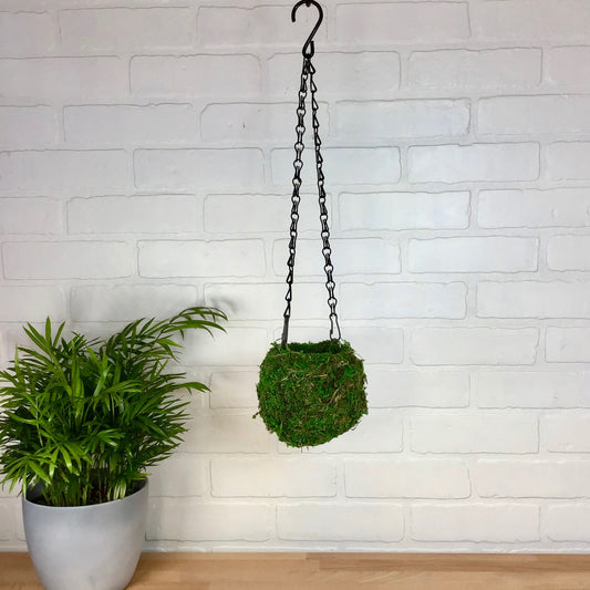 Kokedama Moss Hanging Planter - 4in
