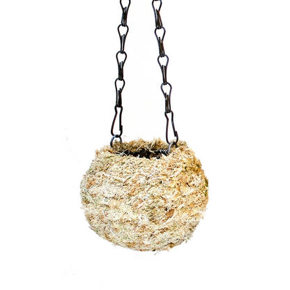 Kokedama Moss Hanging Planter - 4in