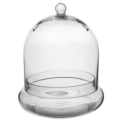 Glass Cloches