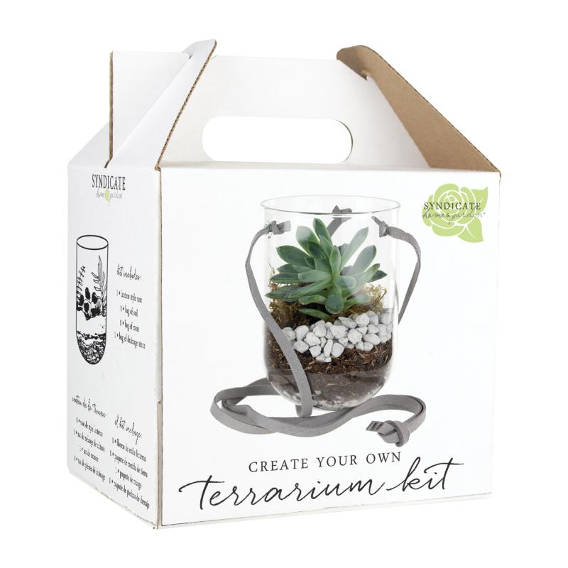 Glass Terrarium Kits