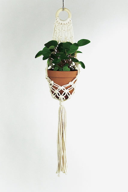 TahaMade Macrame Plant Hangers