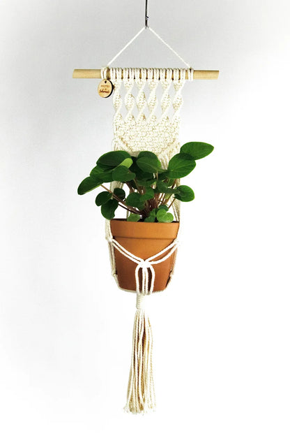 TahaMade Macrame Plant Hangers