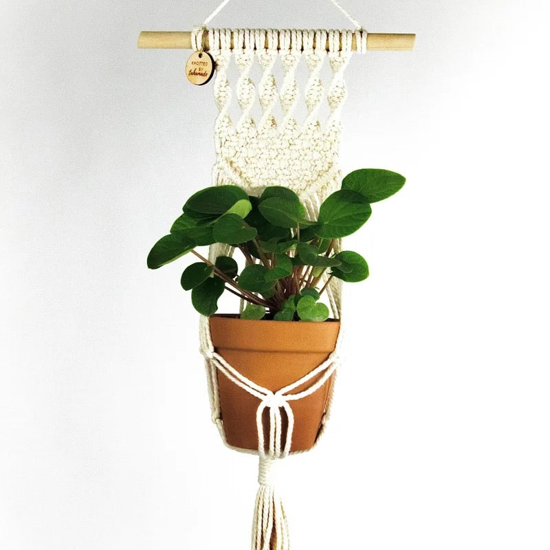 TahaMade Macrame Plant Hangers