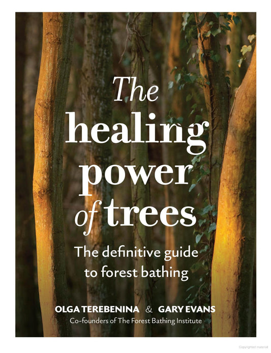 The Healing Power of Trees