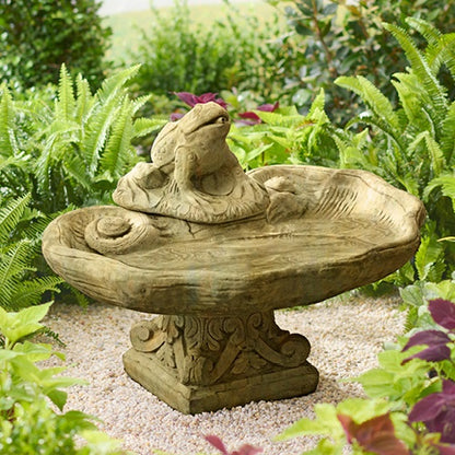 Fountain - Unique Stone Frog with Pump - Ancient Age
