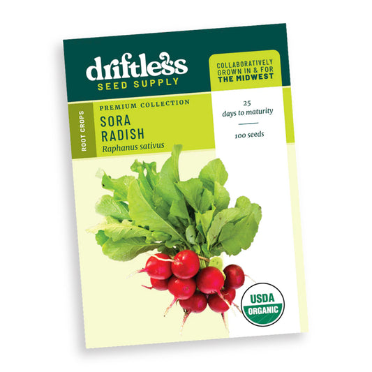 Sora Radish - Driftless Seed Supply - Organic