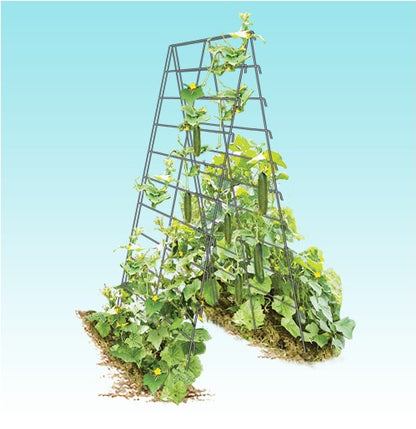 Vine Spine Trellis System - 20x66 with 9x6 Openings