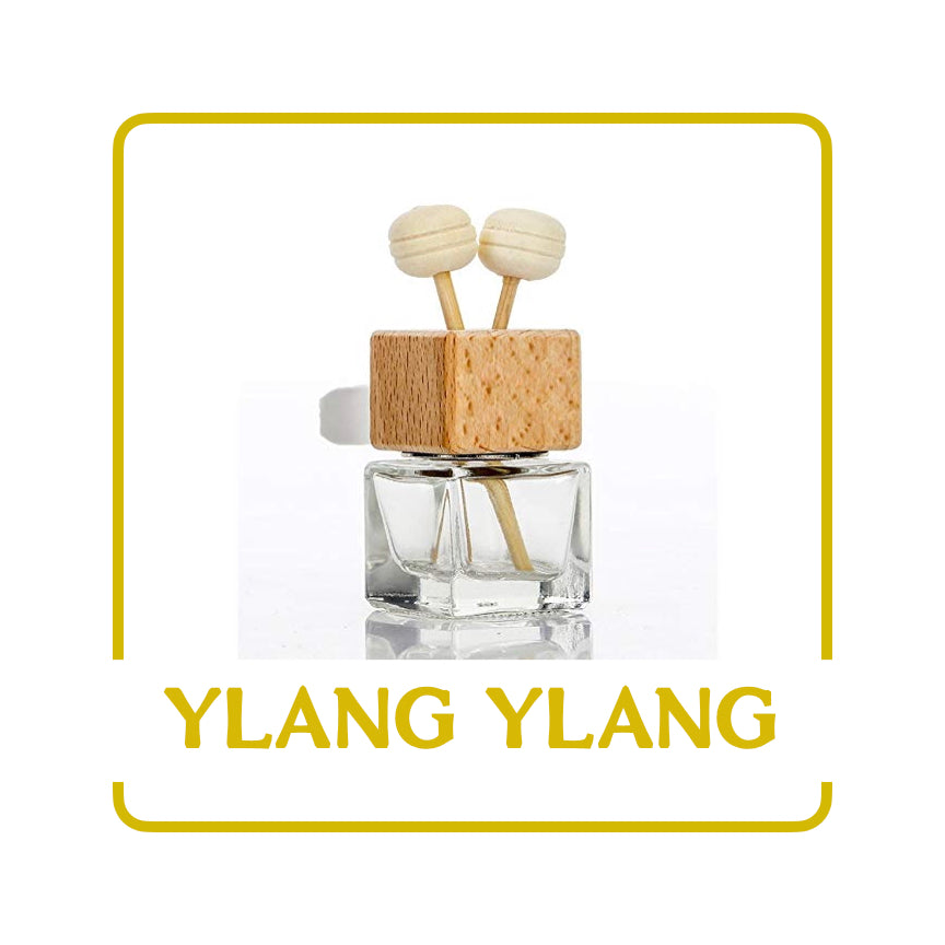Wenonah Body Lab - Car Diffusers