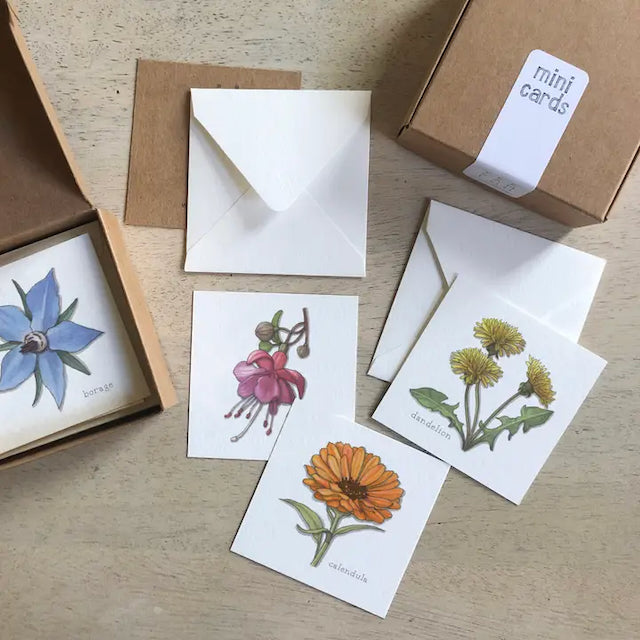 Yeesan Loh Boxed Mini Greeting Cards - 12-Packs