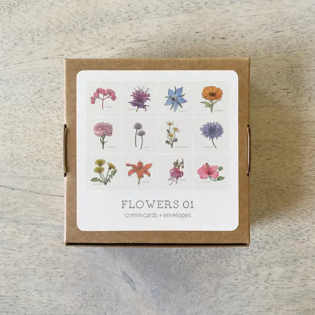 Yeesan Loh Boxed Mini Greeting Cards - 12-Packs