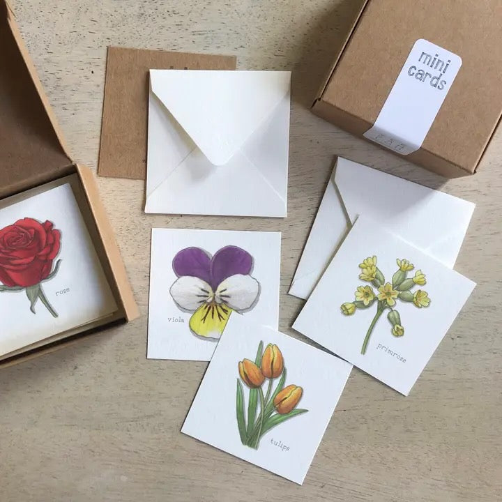 Yeesan Loh Boxed Mini Greeting Cards - 12-Packs