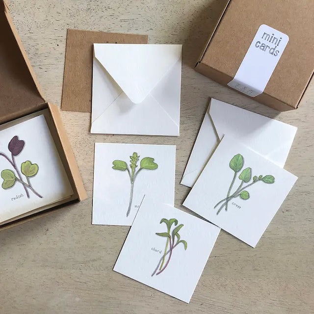 Yeesan Loh Boxed Mini Greeting Cards - 12-Packs