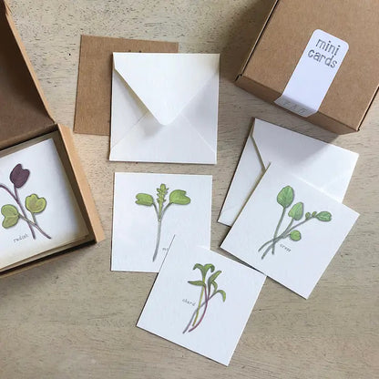 Yeesan Loh Boxed Mini Greeting Cards - 12-Packs