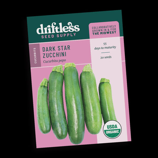 Dark Star Zucchini - Driftless Seed Supply - Organic