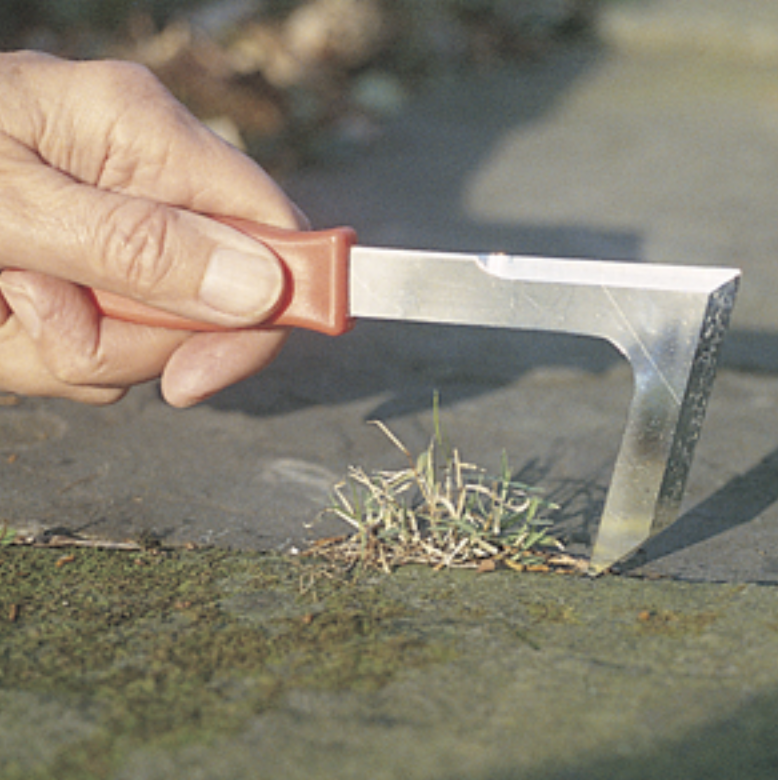 Paving Weeder