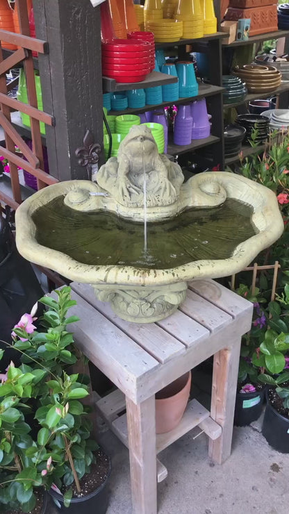 Fountain - Unique Stone Frog with Pump - Ancient Age