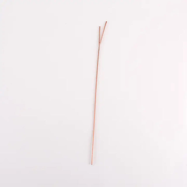 Copper Vased Arrangement Preservers - Life Sticks