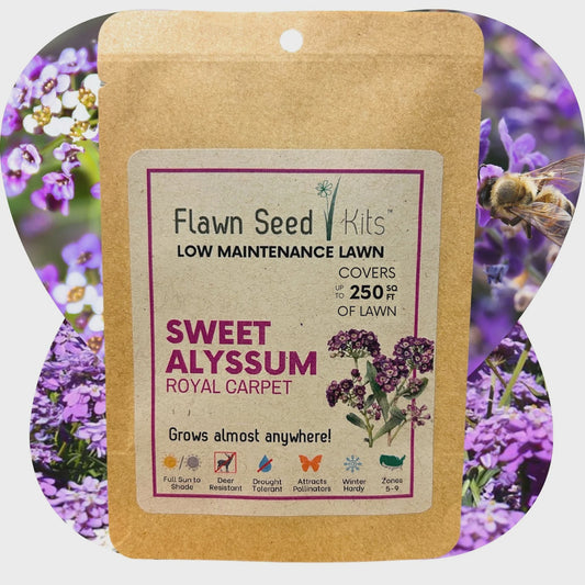 Bee Lawn Single Species Seed - Sweet Alyssum Royal Carpet - 250 sqft